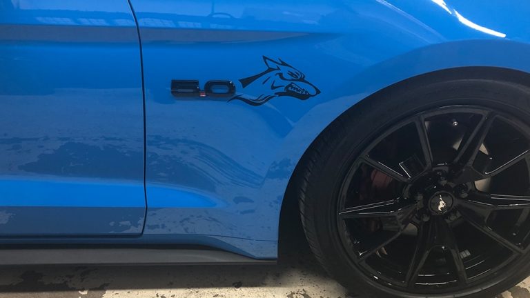 Ford Mustang Coyote 2020 Decals Personal side 2 vinyl wrap Toronto - Auto Tinting, racing stripes, vehicle wrap, Mississauga - Vinyl Wrap Cost