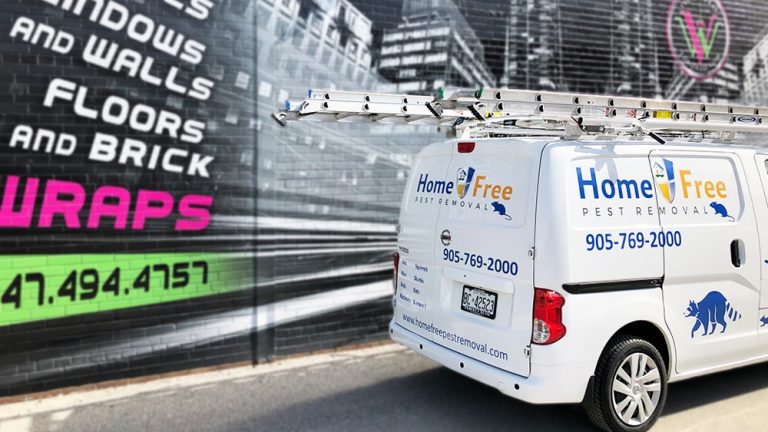 Van Lettering & Decals - Home Free Nissan - Business advertising - Vinyl Wrap Toronto - Home Free Nissan - Auto Tinting Near Me